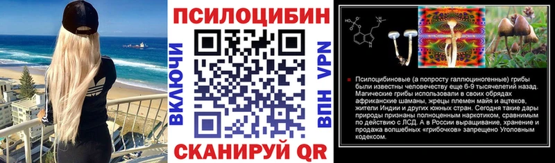 Галлюциногенные грибы Psilocybine cubensis  купить наркотики цена  Топки 